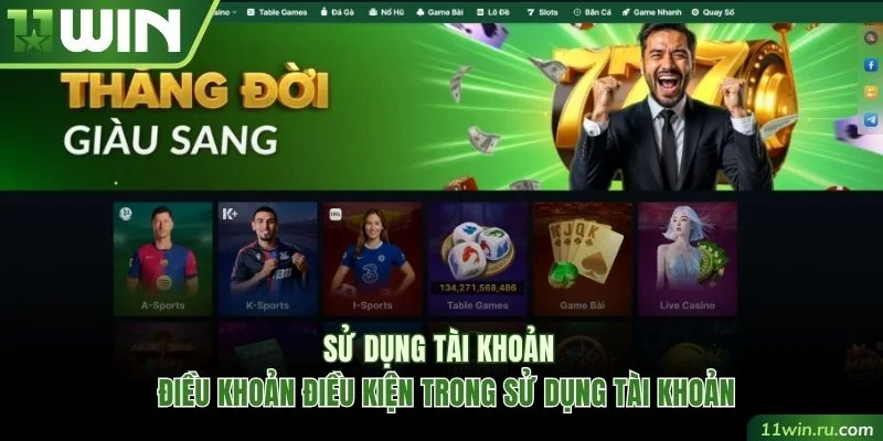 3 điều khoản điều kiện trong sử dụng tài khoản 