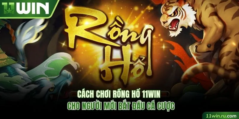 Rồng Hổ 11WIN