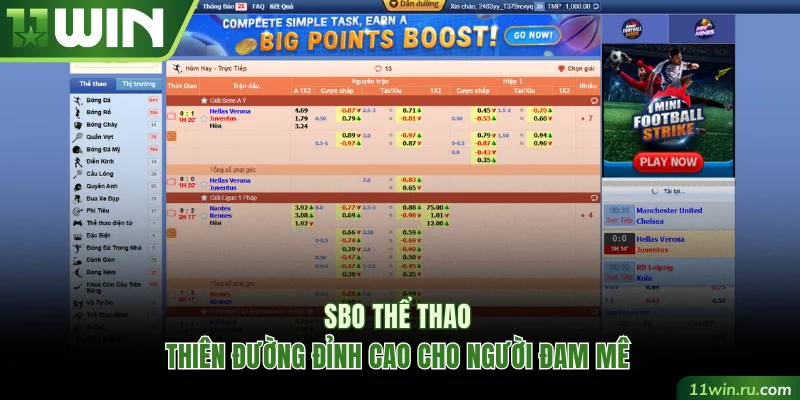 SBO thể thao
